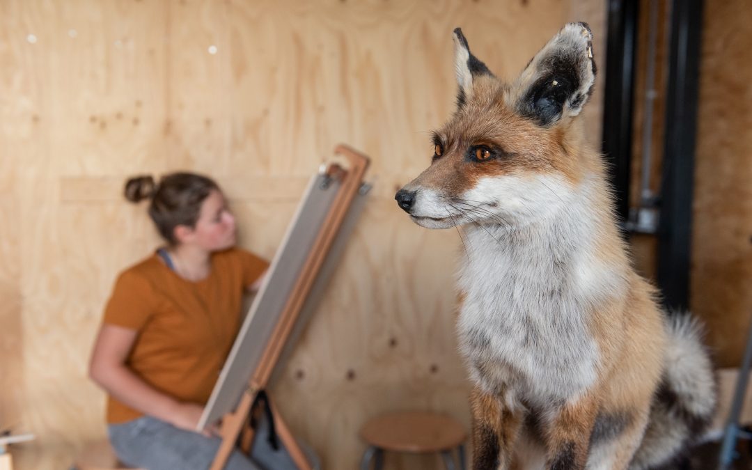 Vincents Tekenlokaal komt met tekenlessen voor kinderen